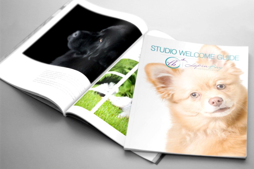  Client Guide information for Pet Photography